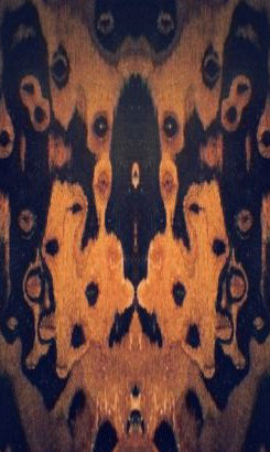 EVO BCE239N Veneer