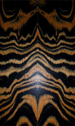 EVO GTS 085N Veneer