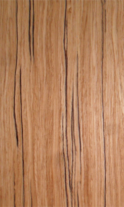 EVO TK 019S Veneer